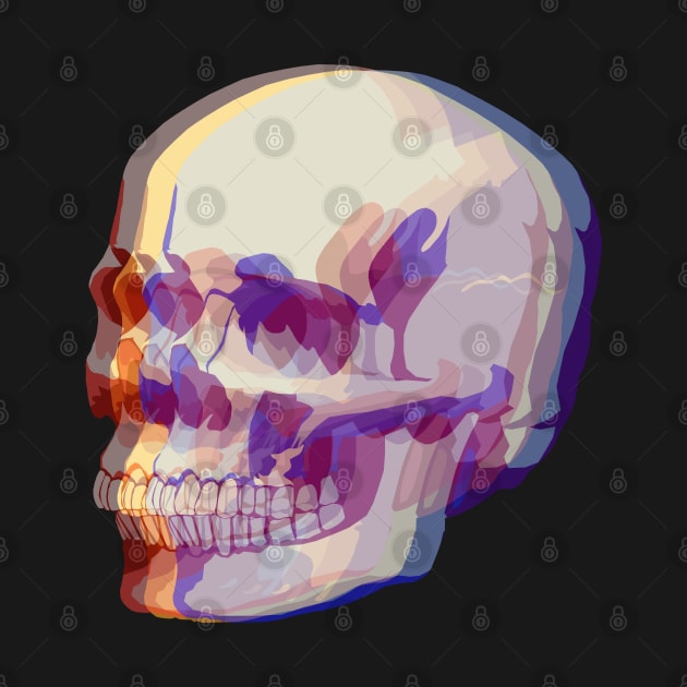 3D Skull by rexthinks