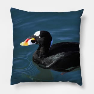 Surf Scoter Ducks at the Pier Pillow