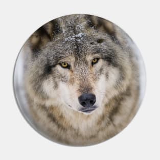 Gray Wolf Pin