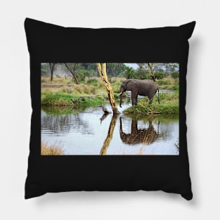 African Elephant, Serengeti National Park, Tanzania Pillow