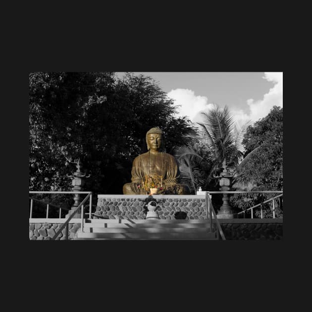 Lahaina Jodo Buddha (As it Was) by DebraCasey