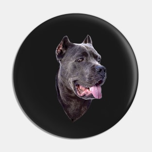 Cane Corso Dog Pin