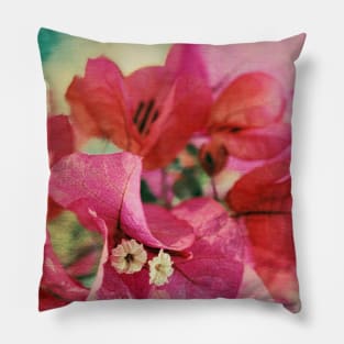 Bougainvillea at Sunset Pillow