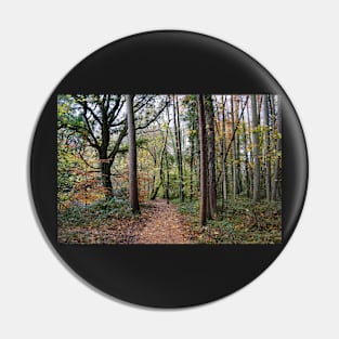 Autumn Woodland Path - Leaves Fallen From Trees Pin