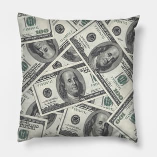 Rich Money Novelty Dollars Pillow