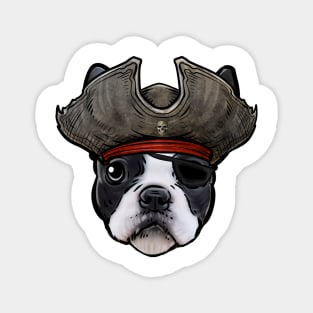 Boston Terrier Pirate Magnet