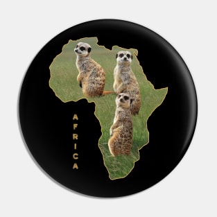 Funny Meerkat - Mongoose - in Africa Pin