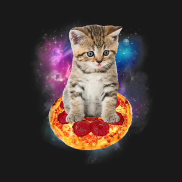 Funny Galaxy Cat Space Cat Eat Pizza and Taco Space Cat TShirt