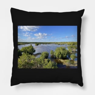 Florida Everglades Pillow