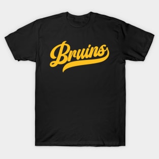 Bruins Shirt Skyline Red Sox Celtics Patriots Boston Bruins Gift