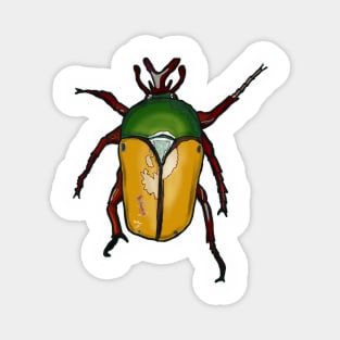 Jade Headed Buffalo Beetle Art Graphic Tee Magnet