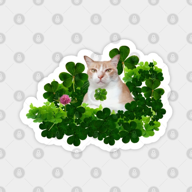 You Are My Lucky Charm (Kitty Holding 4 Leaf Clover) Magnet by leBoosh-Designs
