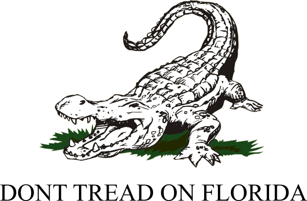 Dont Tread On Florida Kids T-Shirt by The Libertarian Frontier 