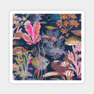 Tropical Tide Magnet