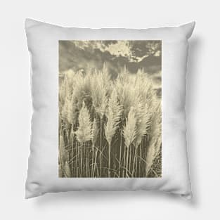 White Pampas Grass with dramatic sky above, nature sepia color photography Pillow