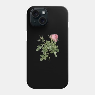 Vintage Dwarf Damask Rose Botanical Illustration Phone Case