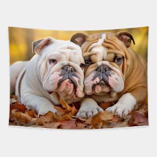 English Bulldog Cat Pet Animal Beauty Warm Cuddle Caring Tapestry