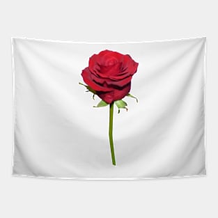 Red Rose Tapestry