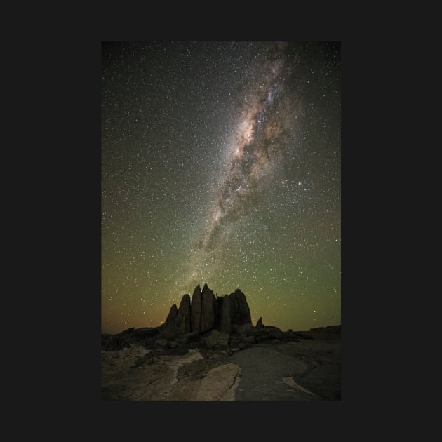 Milky Way over Kubu Island, Botswana (C029/9764) by SciencePhoto