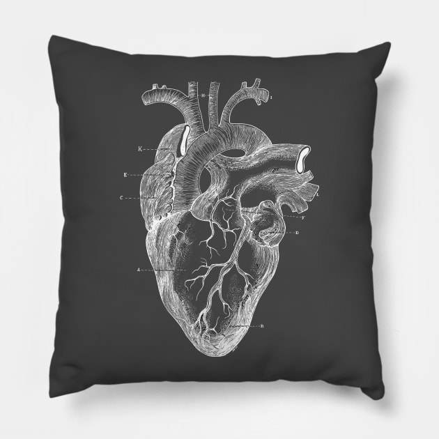 Hearth Pillow by agakubish