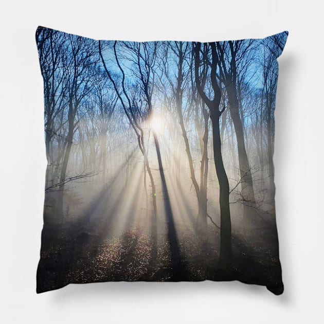 Dramatic sun rays through trees Pillow by Kate-P-