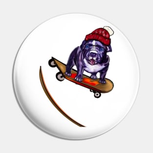 pit bull dog puppy skateboarding off a ramp wearing a red beanie hat with Pom pom - cute funny blue line pittie with piercing blue eyes Pin