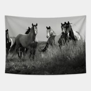 Cariboo Horse Herd - Ranch Horses Tapestry