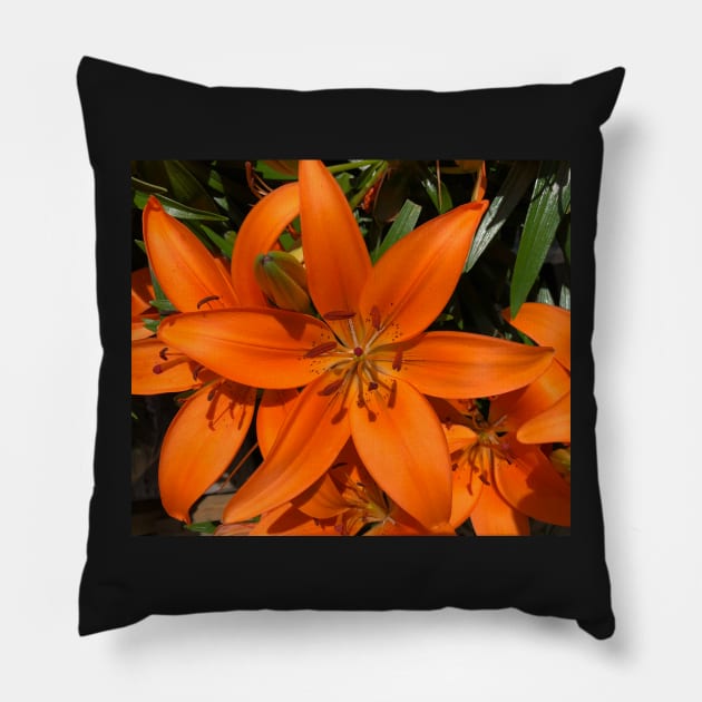 Exuberant Orange Tiger Lily Pillow by Photomersion