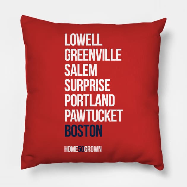 "Homegrown Series" Boston: Mookie Pillow by alanduda