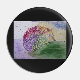 Harry Hedgehog Pin