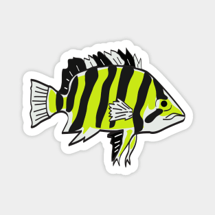 FISH TIGER DATNOID Magnet