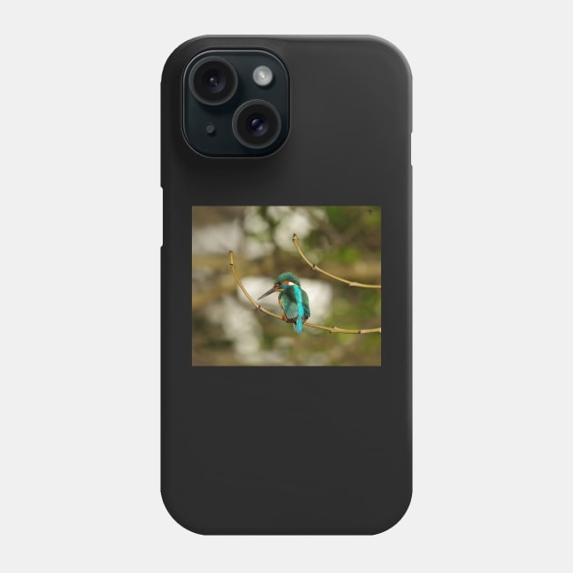 Kingfisher Phone Case by Simon-dell