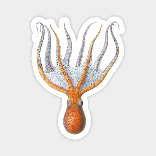 Orange Octopus Magnet by Wright Art