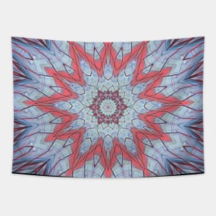 Boho Style Abstract Festive Mandala Pattern Tapestry