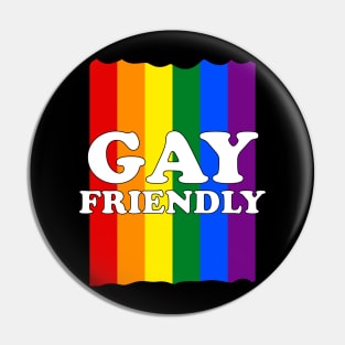 Gay Friendly Pin