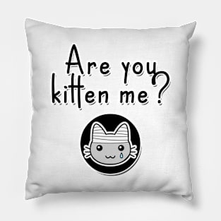 Are You Kitten Me? Pillow