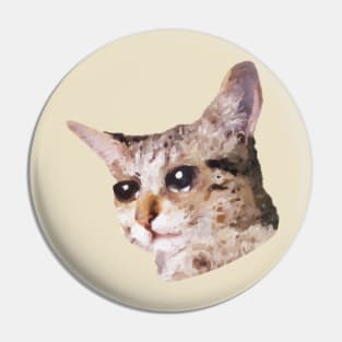 a crying cat painting Pin