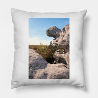 Rock Formation, Dolly Sods, West Virginia Pillow