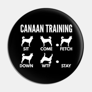 Canaan Dog Training Bedouin Sheepdog Tricks Pin