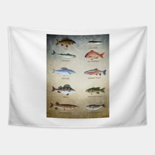 Fish Chart Tapestry