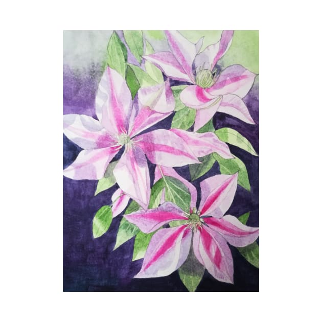 Pink purple clematis watercolour painting by esvb