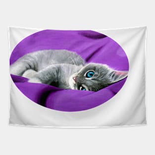 Grey Tabby Kitten Tapestry