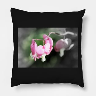 red bleeding hearts, soft background 2 Pillow