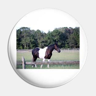 One Horse Pasture Pin