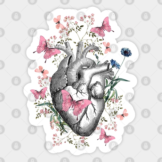 Anatomical Heart Print, Human Heart Anatomy Print, Heart Illustration, Heart  Anatomy Print, Vintage Medical Illustration, Heart Wall Art -  Norway