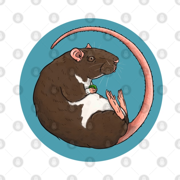 Berkshire Pet Rat Illustration by New World Aster 