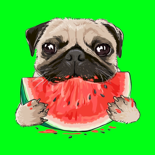 funny funny pug dog eating watermelon by amramna