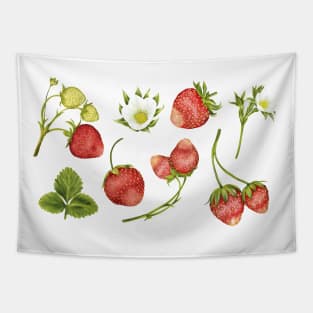 Vintage Strawberries Strawberry Flower Cottagecore Tapestry