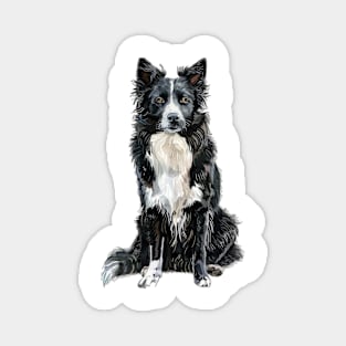 Croatian Sheepdog Magnet