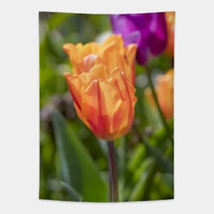 Orange and purple flowers Tapestry